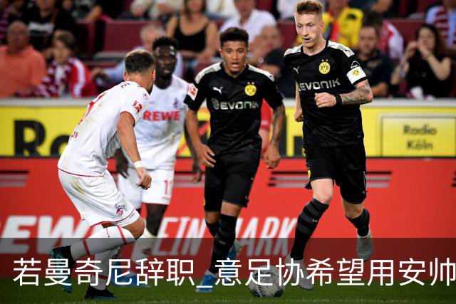 若曼奇尼辞职 意足协希望用安帅或卡纳瓦罗替代